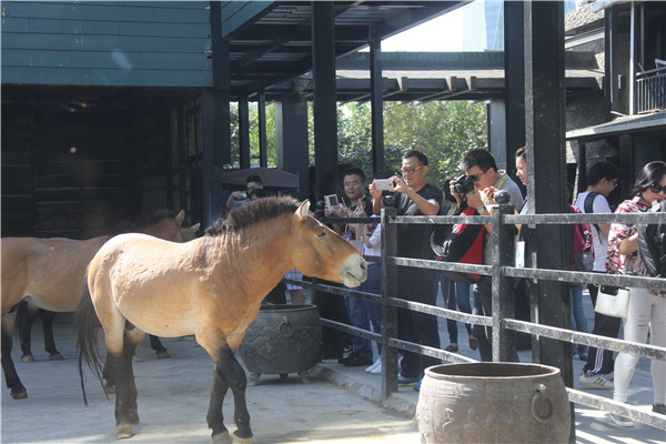 圖片關(guān)鍵詞 圖片關(guān)鍵詞